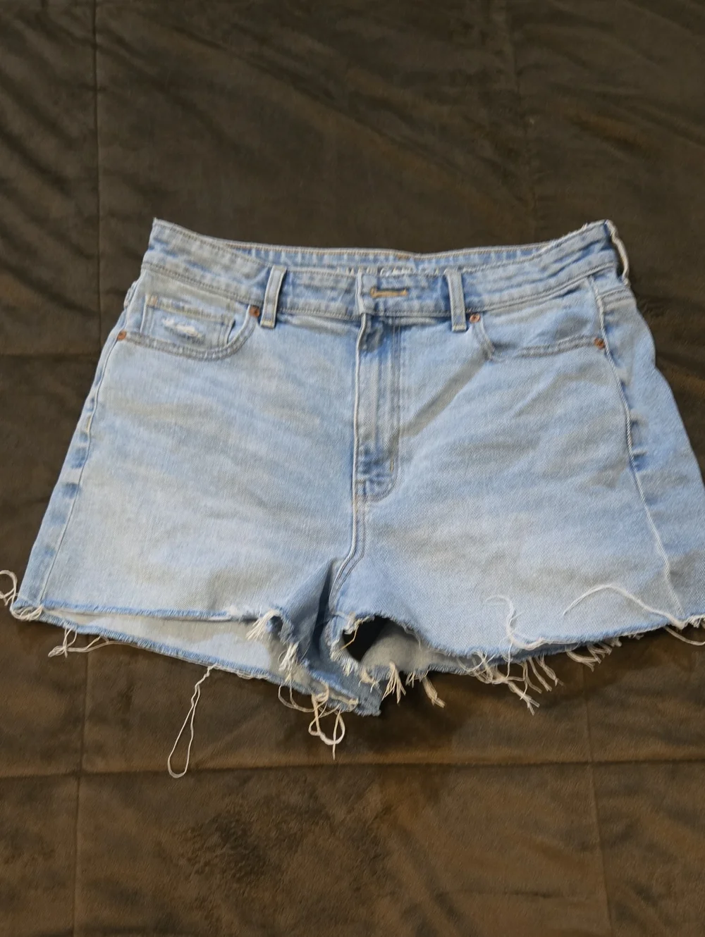 American Eagle Highest Rise Baggy Shorts Women's Size 10
